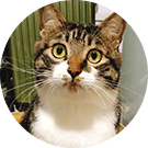 ★吉祥如意★毛孩生活館