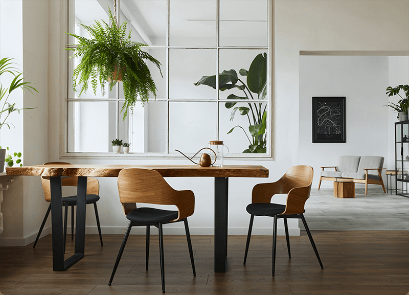 全桃園商區熱鬧唯一獨特一家貓咪咖啡廳，附近有大學商圈，熱鬧搶手專區！