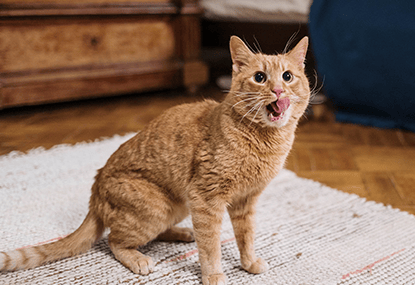 新年活動滿5000現抵600