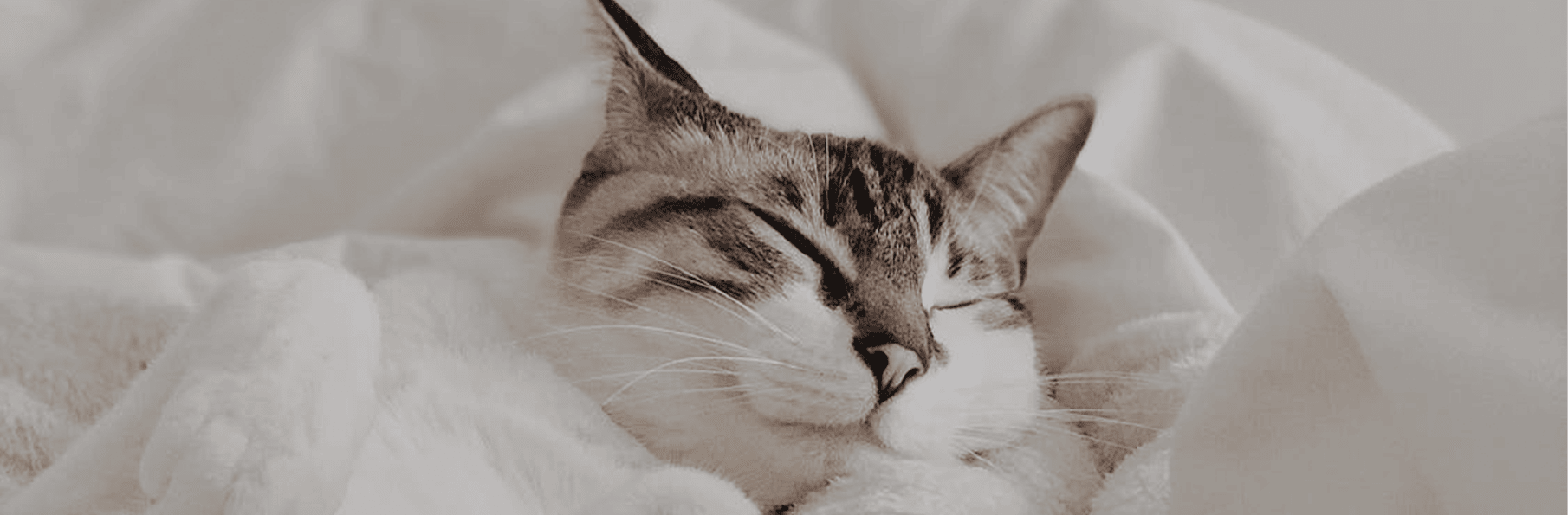 新年活動滿5000現抵600