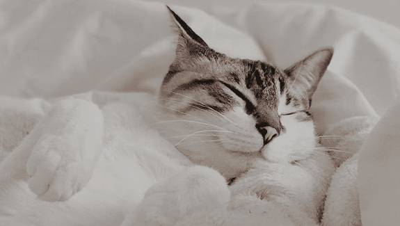 新年活動滿5000現抵600