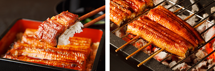 母の日限定のコース